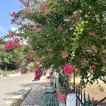Quiet Studio With An Amazing Garden 公寓 斯达林
